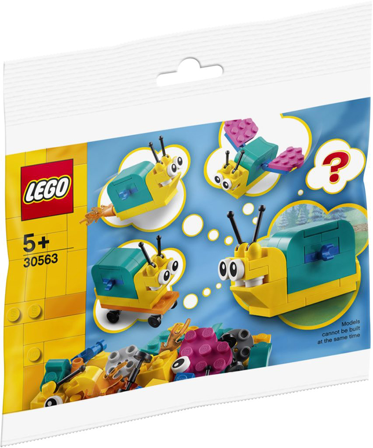 30563